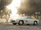 Mercedes, 300SL