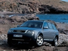 Audi Allroad, Kamienie