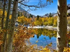 Stany Zjednoczone, Stan Kalifornia, Park Narodowy Yosemite, Jezioro, Góry, Drzewa Jezioro