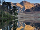 Góry, Szczyty, Langdale Pikes, Jezioro, Blea Tarn Lake, Park Narodowy Lake District, Drzewa, Odbicie, Kumbria, Anglia