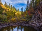 Stany Zjednoczone, Arizona, Sedona, Drzewa, Wąwóz, Skały