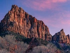 Góry, Góra Watchman, Skały, Krzewy, Park Narodowy Zion, Stan Utah, Stany Zjednoczone