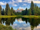 Park Narodowy Grand Teton, Wyoming, Stany Zjednoczone, Góry, Rzeka, Drzewa, Odbie