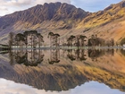 Góry, Jezioro, Buttermere Lake, Drzewa, Odbicie, Kumbria, Anglia