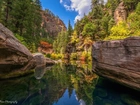 Stany Zjednoczone, Arizona, Sedona, Skały, Wąwóz, Rzeka, West Fork of Oak Creek, Drzewa, Odbicie