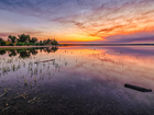 Wschód słońca, Niebo, Drzewa, Jezioro, Lake Chatfield, Park stanowy Chatfield, Kolorado, Stany Zjednoczone