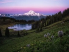 Stany Zjednoczone, Park Narodowy Mount Rainier, Góry, Mount Rainier, Jezioro, Tipsoo Lake, Drzewa