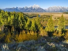 Park Narodowy Grand Teton, Góry, Teton Range, Las, Drzewa, Rzeka Snake River, Stan Wyoming, Stany Zjednoczone