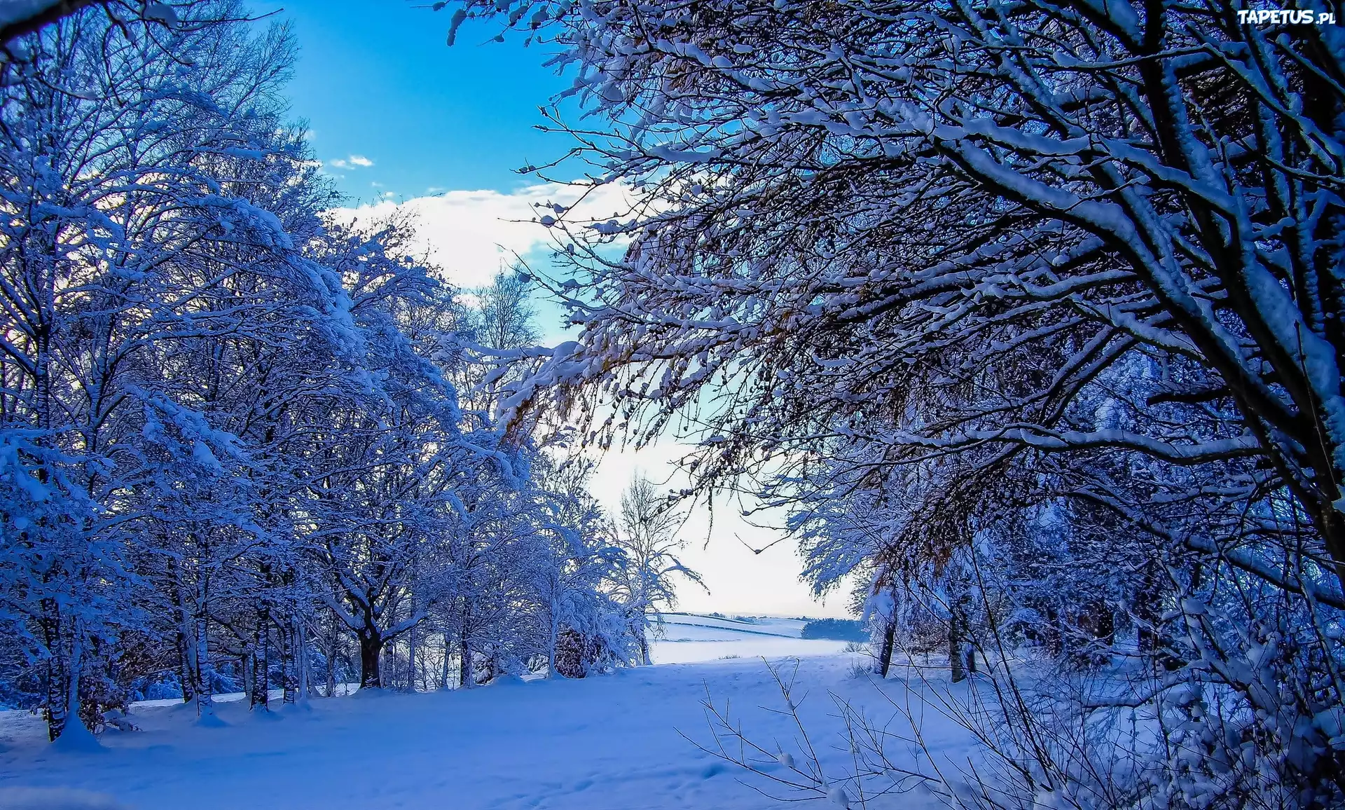 Зима 3. Зимние пейзажи с комментариями. Қыс мезгілі фото. Жыл мезгілдері фото.